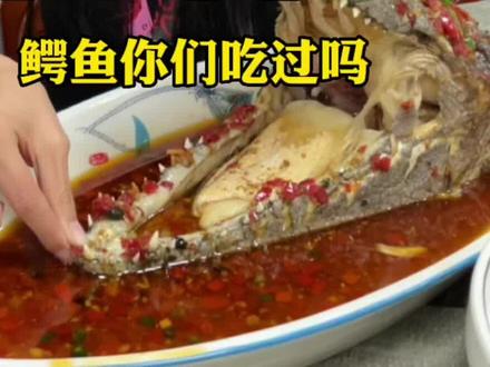 #侯马 #跟着抖音来探店 #抖音搜索流量来了 #农家乐 #新农人计划 这家的鳄鱼肉有人吃过吗?