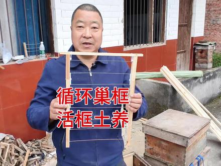活框土养中蜂,山里养蜂师傅用这种循环巢框,取蜜不伤子#一般人不告诉他 #农村大实话 #中蜂土养 #巢框 #经验分享