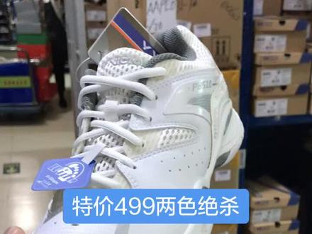 8510两色都到了500双