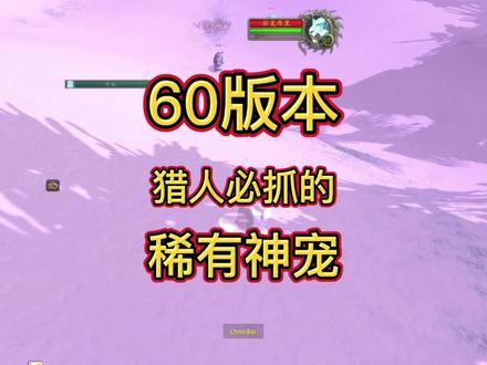 60稀有宠物!合集! #魔兽世界 #魔兽世界怀旧服