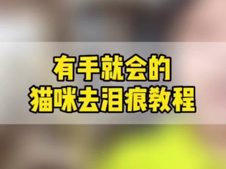 有手就会的祛泪痕方法(猫狗通用)!不信你看完还不会
#科学养宠攻略 #新手养猫 #养宠进阶指南 #养猫人