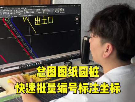 图纸圆桩快速批量编号标注坐标#cad讲堂 #施工员 #工程桩批量编号 #抖音520好礼季