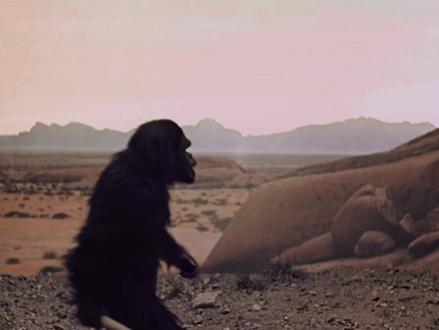 从一根骨头到太空星舰,从工具的角度来呈现人类进化的史诗 #2001太空漫游 #库布里克 #青年创作者成长计划