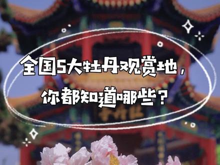 赏牡丹去哪里?当然是去这些地方! #洛阳牡丹甲天下 #牡丹 @抖音小助手 #五一假期