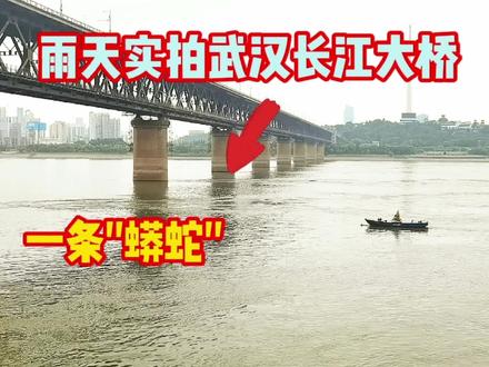 4.28日下午,大雨中实拍武汉长江大桥,一条"蟒蛇"在江中穿梭 #城市记忆 #轮渡过江 #轮船