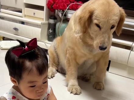 月月用一生的温柔,去呵护妹妹周全#狗狗 #萌娃和萌宠