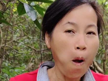 世界上最酸的水果你有没吃过?说说你小时候吃过什么野果。#农村生活 #这个野果子有认识的吗 #竹桔 #野山竹