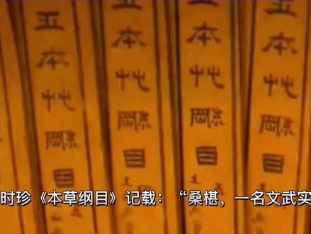 古医书记载的桑椹#桑葚 #健康养生 #酒文化