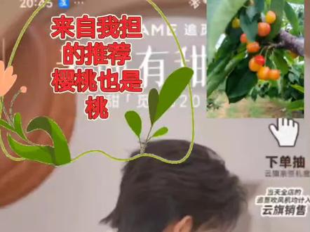 樱桃也是桃 醋坛子里全是醋 哈哈哈
来自我担的梗!
感觉黄蜜最配我普!
身娇肉贵!!哈哈哈
卖大樱桃的我!笑不活了,哈哈哈
#大樱桃 #樱桃也是桃