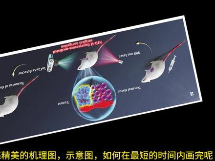 高效的绘图工具,快速画出精美的示意图、机理图、模型图,助力PPT制作、科研绘图、论文写作#研究生 #科研 #ppt #学习 #论文