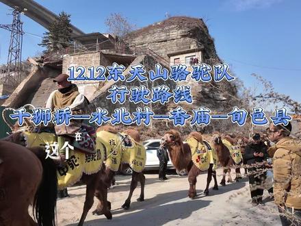 今日骆驼队行驶路线已出炉,火速来看。 #热点 #东天山骆驼队 #原州供销 #栾小黑 #强烈推荐