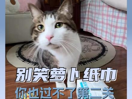 原来大家都会有“萝卜纸巾小猫”的时候#蒸蚌 #猫咪的脑袋如奶油般 #别笑萝卜纸巾你也过不了第二关 #萝卜纸巾猫认亲戚版