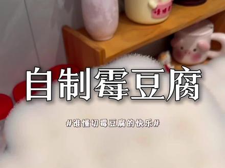 成年人解压新方式——切霉豆腐! 早知道这么简单,我就早点做了,还让我每天上网羡慕别人!#霉豆腐 #我的毛豆腐很曼妙 #毛豆腐 #自制霉豆腐 #青年创作者成长计划