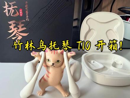 竹林鸟抚琴 T10 开箱!百元开放式耳机竟这么卷? #耳机#竹林鸟#抚琴#蓝牙耳机