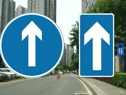 最易混淆的交通标志:直行标志VS单行道#交通安全 #交通标志 #交通安全小常识 #驾考宝典