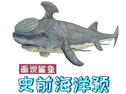 #我要上热门 史前海洋预警机,胸脊鲨!邓氏鱼的爱!#学浪计划 #我和妈妈学科学 #抖青有文化 #画画 #手绘