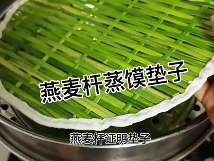 我用地头的野燕麦编了一个蒸馍垫子,方便实用,蒸出来的馒头有一股清香的味道#手工制作#非遗#大自然的馈赠#野燕麦#蒸馍垫子