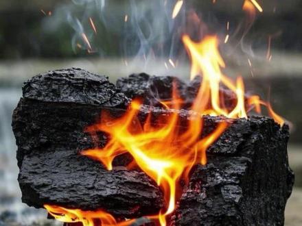 泥煤是什么?它是怎样形成的?#科普 #泥煤#涨知识