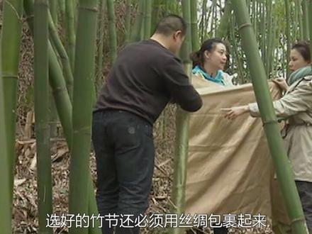 一把破扇子,为何能成为国礼?你花钱都买不到! #龚扇 #dou来安利纪录片 #非遗传承 #非遗 #竹子