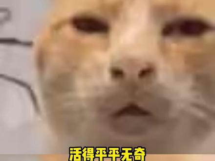 说白了,我的葬礼我做主 #二次元 #谷子 #光栅卡 #葬礼 #抽象