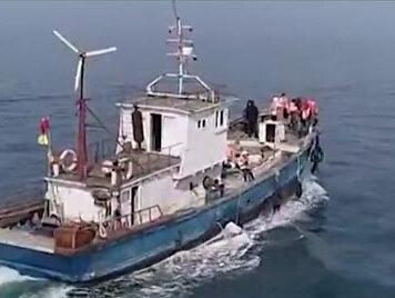 大连美女花400万养海参,仅凭3招把废料卖出高价,两年赚了1个亿 #海参 #农村养殖 #创业 #致富