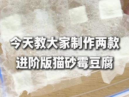 太好玩啦#霉豆腐 #霉豆腐制作 #万物皆可霉豆腐 #手艺人在抖音