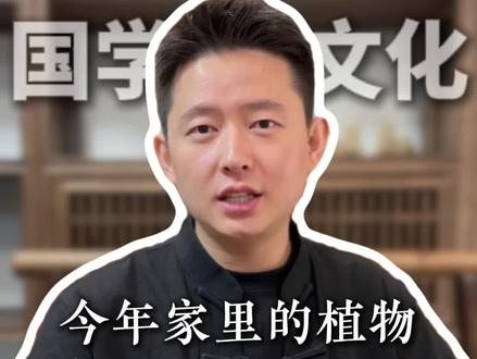 这四种植物千万不能养!#国学文化 #国学智慧 #智慧人生 #家庭 #植物