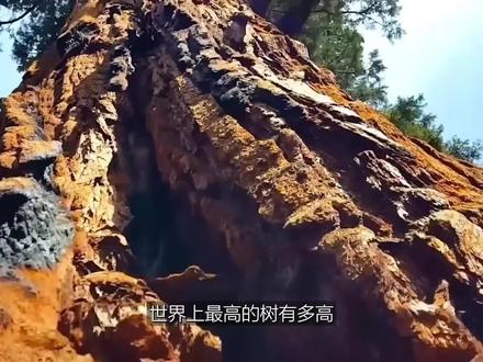 史前远古存在通天大树吗?