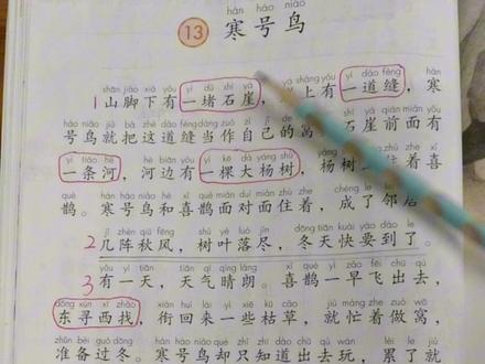 二年级语文上册第13课《寒号鸟》课文朗读#二年级语文上册 #课堂笔记 #寒号鸟#课文朗读#预习