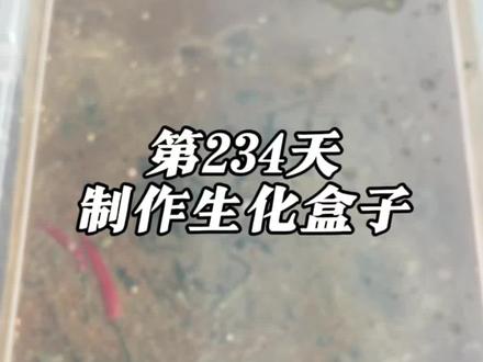 第234天制作生化盒子 #制作过程 #自制 #生化危机#绝命毒师 #生化盒子