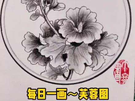 每日一画~芙蓉图 画画就这么简单!#零基础学画画 #一起学画画 #画画 @抖音小助手