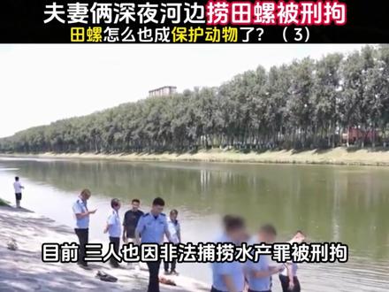 夫妻深夜捞田螺被刑拘,难道现在抓田螺也违法了吗?#社会百态
