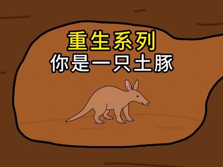 如果你是一只土豚,那么你的生活将会是怎样的呢?