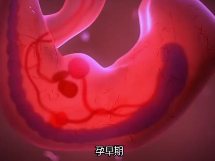 🤰怀孕1-12周|胎宝宝每周发育全记录
准妈妈最关心的问题之一就是:宝宝现在长成什么样了?
我来详细说说怀孕第1-12周,胎宝宝的每周成长变化,一起见证生命的奇迹💕
-
🟢第1-4周:生命悄然开始
受精卵完成着床,开始细胞分裂。
虽然肚子还没变化,但宝宝的生命已经启动。
-
🟠第5周:胎心跳动
胚胎约0.3cm,心脏开始跳动。
神经管形成,未来的大脑和脊柱正在发育。
-
🔵第6周:小小轮廓
胚胎0.6cm左右,开始有头部、四肢雏形。
眼睛和耳朵位置初现。
-
🟣第7周:大脑快速发育
宝宝约1cm,有了小手小脚。
面部器官开始形成,内脏开始分化。
-
🟡第8周:进入“胎儿”阶段
宝宝约2cm,骨骼开始硬化。
五官更加清晰,胎心跳更强烈。
-
🔴第9周:可以轻微活动
身长约3cm,重约2g。
四肢逐渐变长,开始有简单动作。
-
🟢第10周:更像小人儿
胎长约4cm,重约4g。
手指脚趾清晰,有指甲原始结构。
-
🟠第11周:五官立体化
宝宝约5cm大,头部比例仍偏大。
眼睛位置移动,耳朵开始上移到正常位置。
-
🔵第12周:初具人形
胎儿约6cm,重达14g左右。
骨骼、内脏基本成型,能做简单的吞咽和握拳动作。
-
每周都是一个成长的故事,虽然你看不到他,但他一直在努力长大🌱
记得保存这篇,一起记录孕早期的每一步❤
#胎宝宝发育 #怀孕初期 #孕1-12周 #孕妈成长日记