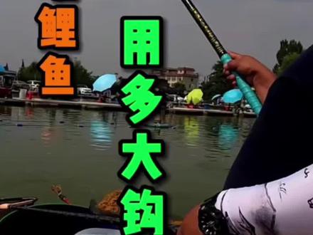 大钩不跑鱼。您试试?#抖音钓鱼人 #黑坑钓鱼 #钓鱼人就是这么疯狂 #快乐垂钓 #钓鱼的乐趣只有钓鱼人懂