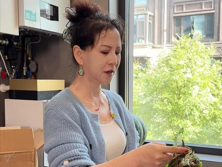 今天的菜有点特别哦#日常vlog#东北人#美食#婆婆丁