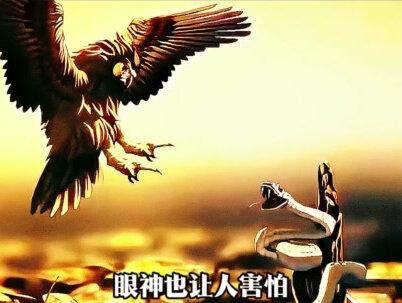 文物鉴赏计划——历史上第一位女将军的神灵陪葬妇好鸮尊 #青年创作者成长计划#青铜器 #妇好 #商朝 #博物馆