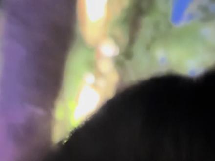 万岁山治好了我的首尔病
#万岁山武侠城 #拍照 #打卡 #首尔病