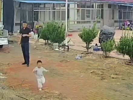 小男孩被自家养的鸡“攻击”,爸爸上去一脚把鸡踹飞,爸爸:敬酒不吃吃料酒