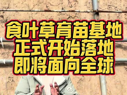 食叶草种苗培育基地 今天实地探访了咱们山西的食叶草育苗基地,真的有被震撼到!不愧是农业龙头企业👏
一踏入基地,那大片大片的育苗区域,规整又充满生机,蓬勃之气扑面而来。咱今年可有大目标,整整 3000 亩的苗要育,而且用的全部都是中科院原培新 18 代种苗,这科技含量、这品质起点,杠杠的!
从基地工作人员专业的讲解,到亲眼目睹每一株幼苗的茁壮成长,心中满是对这片土地的期待,对未来丰收景象的畅想。食叶草,承载着绿色农业的希望,相信在如此强大的科研力量与规模化运作下,今年定会开启不一样的农业新篇章,为家乡、为餐桌送上一份独特又健康的厚礼🎁 一起加油!#食叶草#种苗培育 #绿色生态农业 #抖音助农 #三农