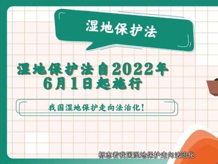 湿地保护法施行!以法为盾守护“地球之肾”