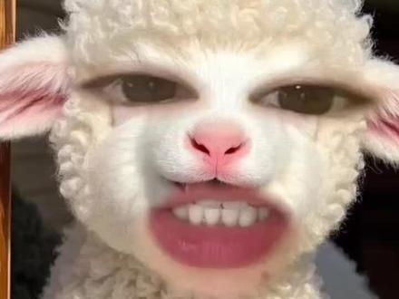 婚姻小知识#星座#占星#冷知识