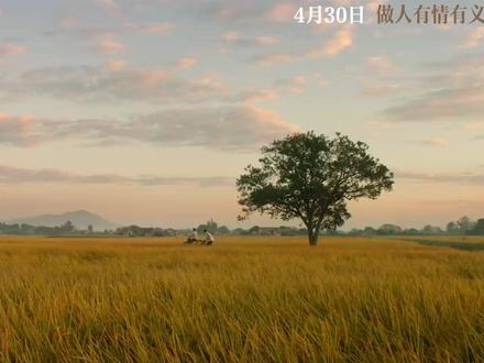 【IGN】9分,《给阿嬷的情书》评测:情真意切,回味悠长 如果用一个词来形容《给阿嬷的情书》,我想会是「真诚」。它并不急于煽情,或是向观众兜售某种观点,而是在人物的日常之中娓娓道来,在平凡细节里慢慢积累出情感的重量。这或许才是中国电影走出阴霾的一剂良药,也是在这个影像泛滥的时代,电影有别于其他媒介的价值所在。#电影推荐 #给阿嬷的情书 #潮汕 #泰国