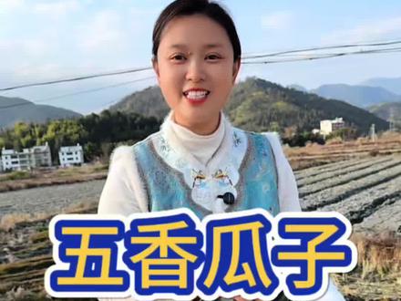 五香瓜子 喜欢吃瓜子又怕上火,可以像我这样水煮一煮太阳晒一晒,干香入味,好吃又不上火#瓜子#五香瓜子