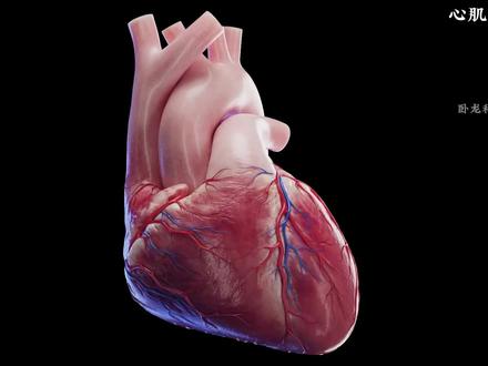 主人你好我是心细胞,能听听我的心声吗?#动物科普 #生物科普 #科普一下 #科普知识