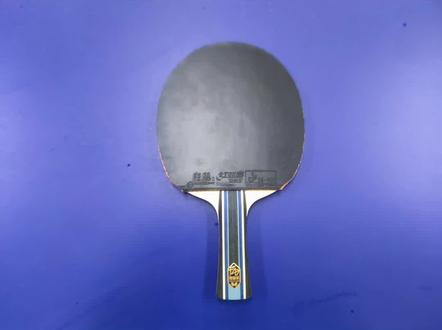 小测评一波 纠结樊振东alc还是salc#快乐乒乓球🏓 #樊振东 #乒乓球