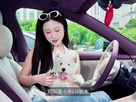 小米汽车1.16版本更新后怎么设置? #小米汽车 #小米yu7 #小米su7 #小米汽车新系统 #小米汽车OTA
