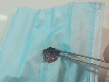 清道夫取出小心心 #清道夫 #趣味实验