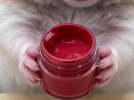 啊咔,西喽#Ai#萌宠日常