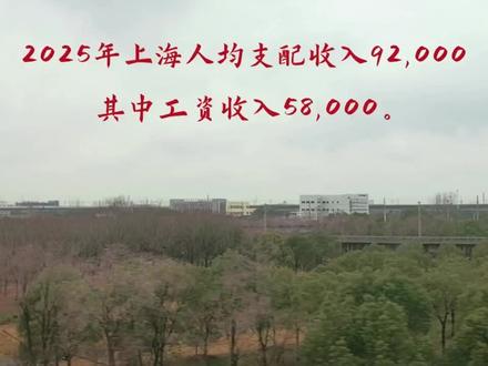 2025年上海人均可支配收入九万二,其中工资五万八。 #上海 #人均可支配收入 #大上海 #人均收入 #姚哥跑火车